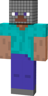 STEVE Without head