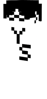 YS