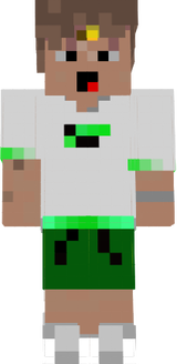 SeyLink_Hupe