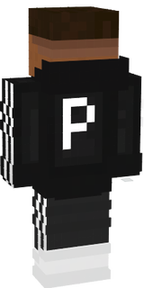 P3RK_Craft