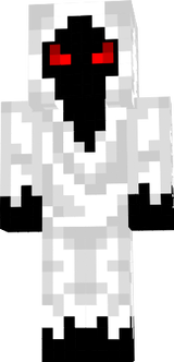 entity 303