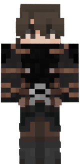 MC skin assasin