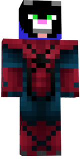 gato spider