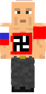 nice putin