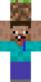 steve