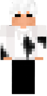 skinpj