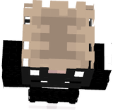CarpetXD 