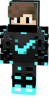 wd ar
