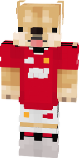 perromanchester