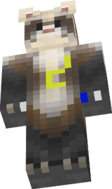 dr
