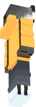mapache
