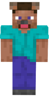 steve