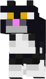 ARYA