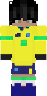 Brazil World Cup