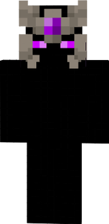 Ender Helmet