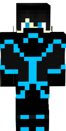 Preview of texture: order_guardian1