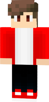 NepVis