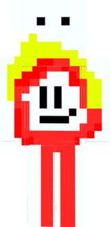 proje 1