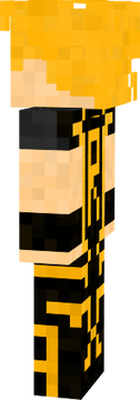 STR SKIN