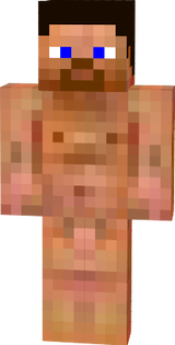 steve