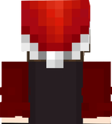 ZDENDAcz009 with Christmas Hat