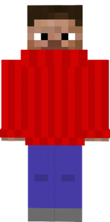 turtle neck