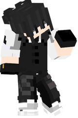 emdark sis