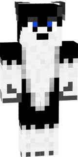 chien
