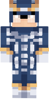 amir