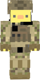 duck