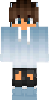 skin for surver
