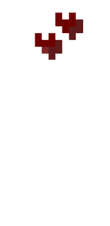 braquin12