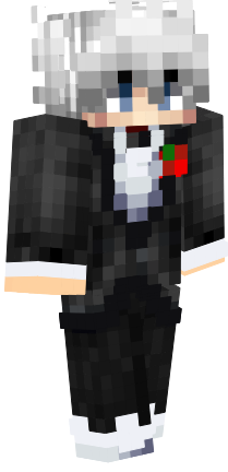 Preview of texture: 1233