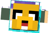 suscr