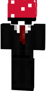 mistr houba