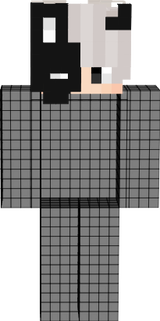 VeXion