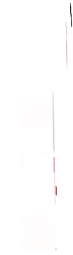 hellorabit