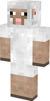 sheep