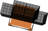 Head