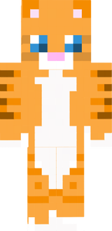 orange cat