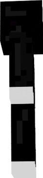 enderman with whites2