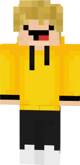 ptys