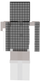 Skin da Gi