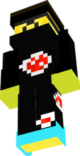 amir sg skin