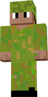 軍