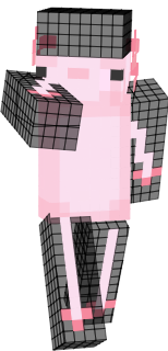 ajolotexd