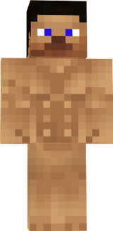 steve3