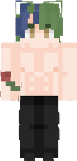 sin camisa