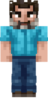 steve dans le film  mincraft