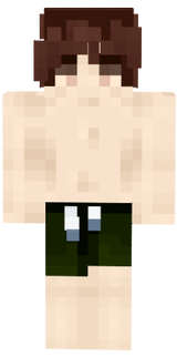 sdfv
